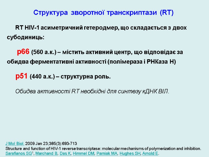 Структура зворотної транскриптази (RT) RT HIV-1 асиметричний гетеродмер, що складається з двох субодиниць: 